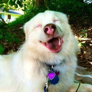 Meet your Posher, Posh